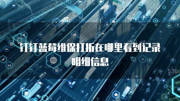 信息系統運行維護服務中多乘單CRM返點功能的定位與使用指南
